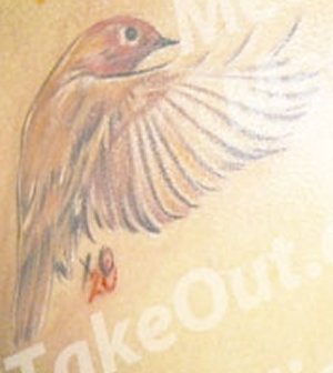 Drake Bird Tattoo