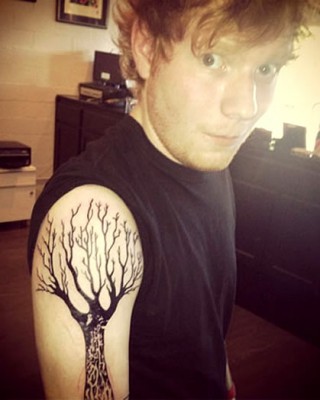 One Direction Pal Ed Sheeran Gets Inked With Weird Family Tree Tat