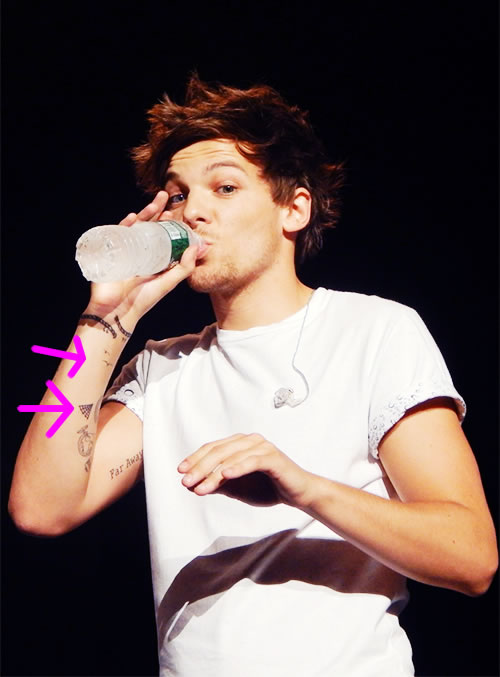 Louis spider web tat