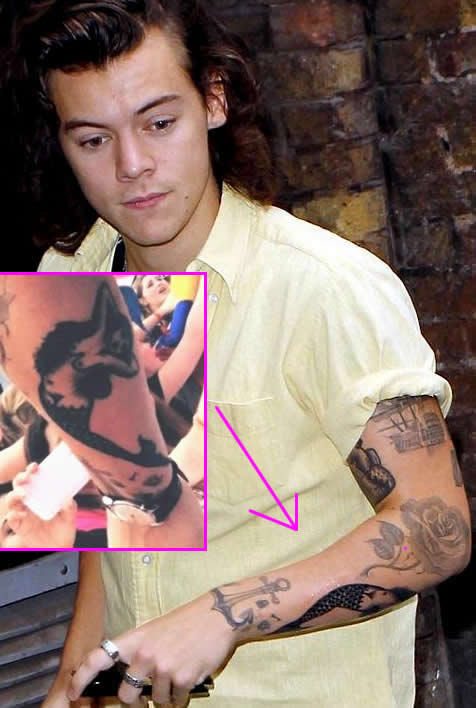 Harry Styles Adds a New Mermaid Tattoo to His Arm, and It’s Kind of Racy!