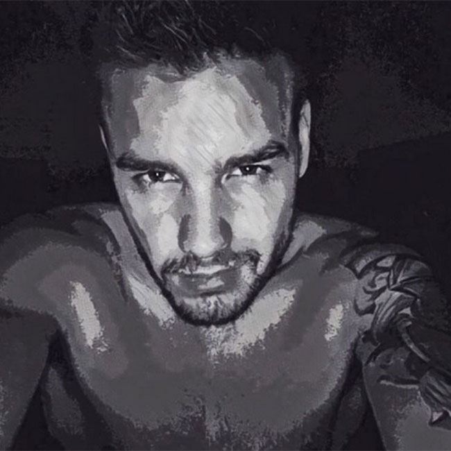 Liam Payne Shows Off Mysterious Shoulder Tattoo in Instagram Selfie