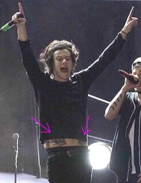 Harry Styles Shows Off New Hip Tats While Performing in Colombia