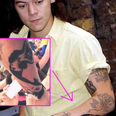 Harry Styles Adds a New Mermaid Tattoo to His Arm, and It’s Kind of Racy!
