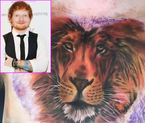 Ed Sheeran Says His Massive Lion Chest Tattoo Won’t Be His Last!