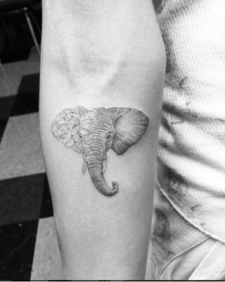 Cara Delevingne Debuts New Elephant Tattoo on Instagram
