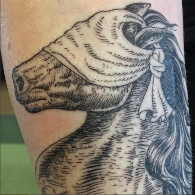 Iggy Azalea Debuts Blindfolded Horse Tattoo on Instagram